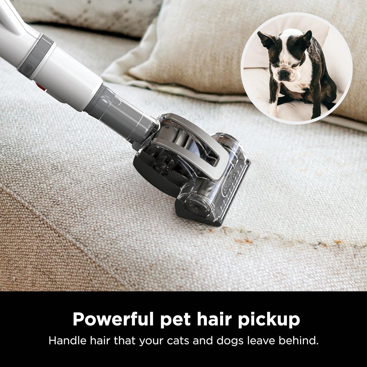 Rotator Pet Pro Lift-Away ADV Upright Vacuum with HEPA Filter, DuoClean PowerFins HairPro and Odor Neutralizer Technology, Pet Hair Pickup, For Carpets & Hardfloors, Dark Grey, LA555