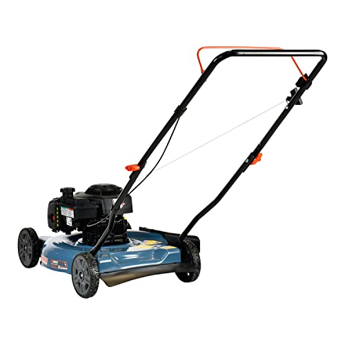 SENIX Gas Lawn Mower, 20-Inch, 125 cc 4-Cycle Briggs & Stratton Engine, Push Lawnmower