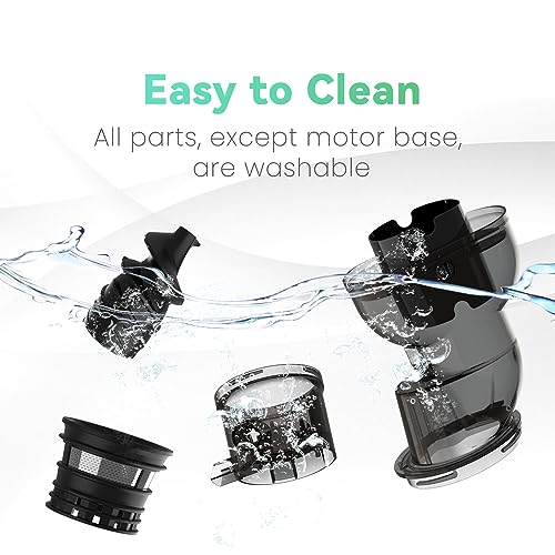 Masticating Juicer, 300W Professional Slow Juicer with 3.5-inch Large Feed Chute